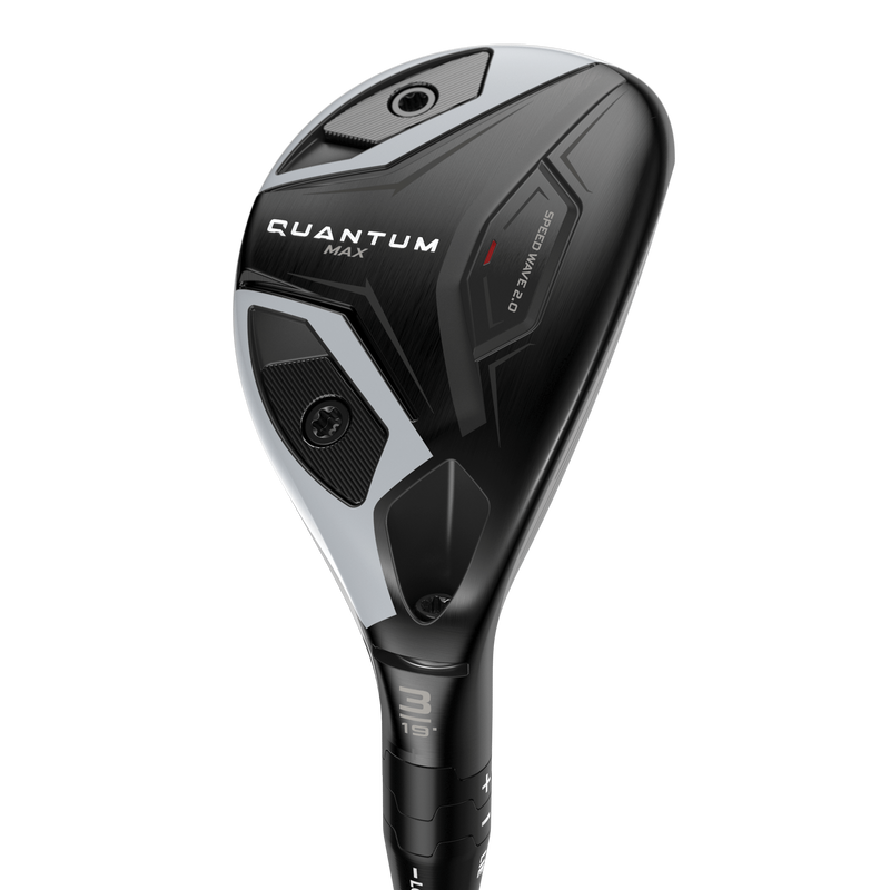 QUANTUM MAX Hybrid